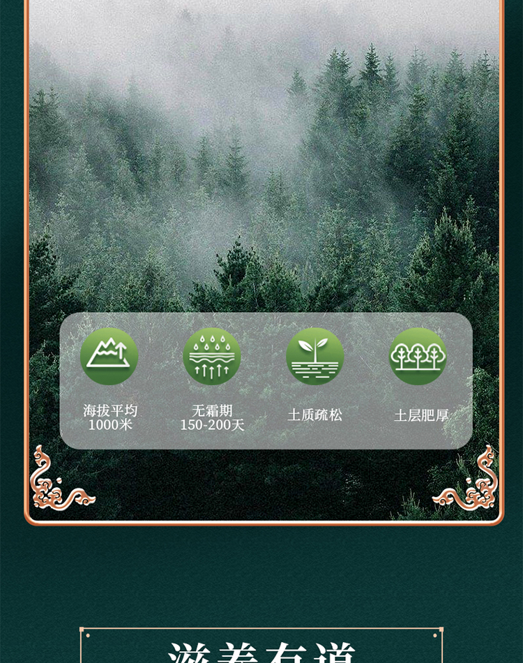 未标题-1_07.jpg